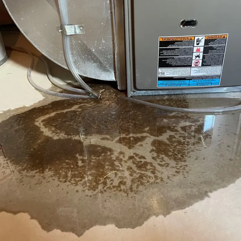 Pipe Burst and Leak Restoration in Sabana Hoyos, PR